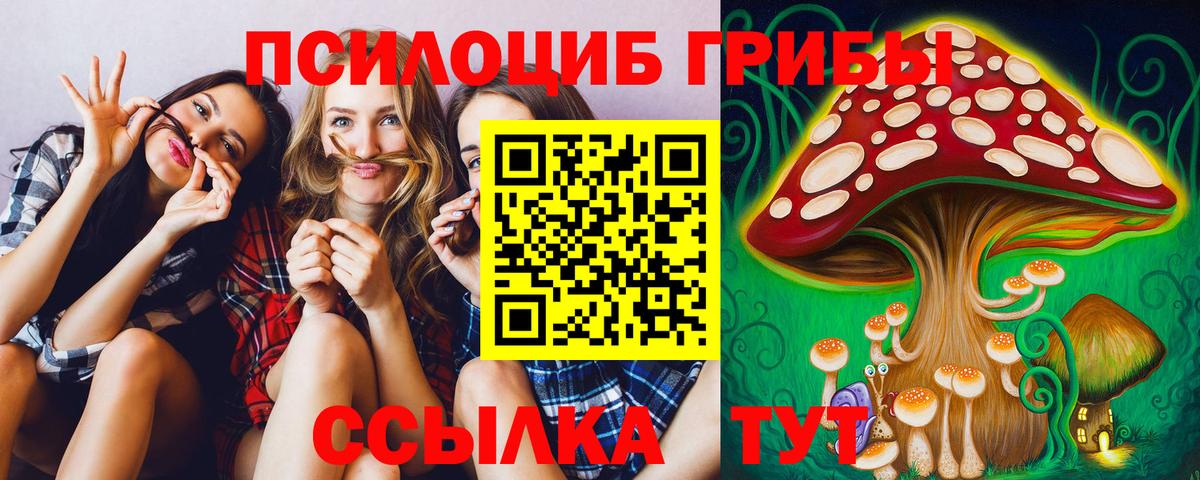 Галлюциногенные грибы Cubensis  Вход с VPN  Гатчина  Галлюциногенные грибы Psilocybine cubensis 