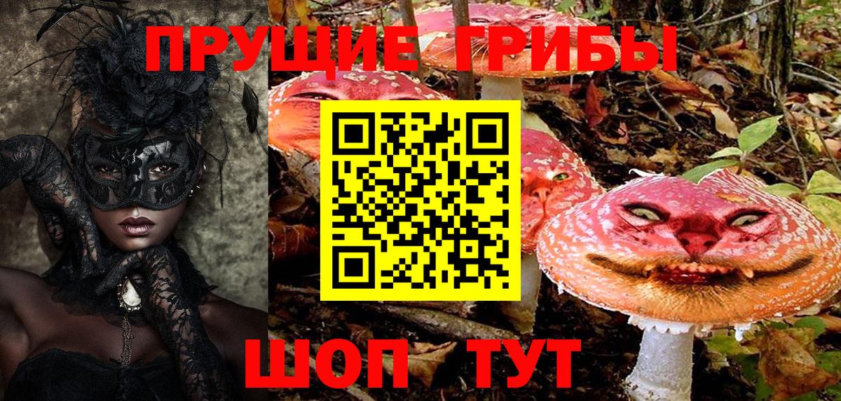 Галлюциногенные грибы мухоморы Гатчина